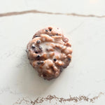 Blueberry Fritter